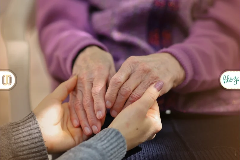 en iyi bakıcı şirketleri