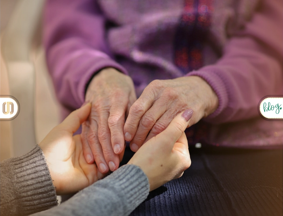 en iyi bakıcı şirketleri