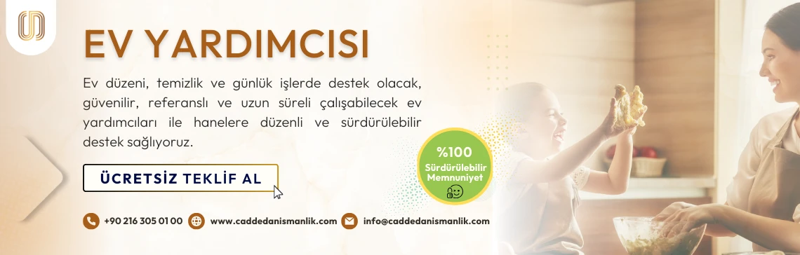 Ev Yardımcısı