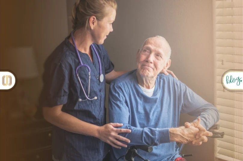 palyatif bakım ne demek