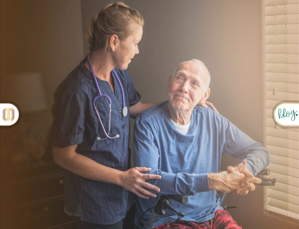 palyatif bakım ne demek