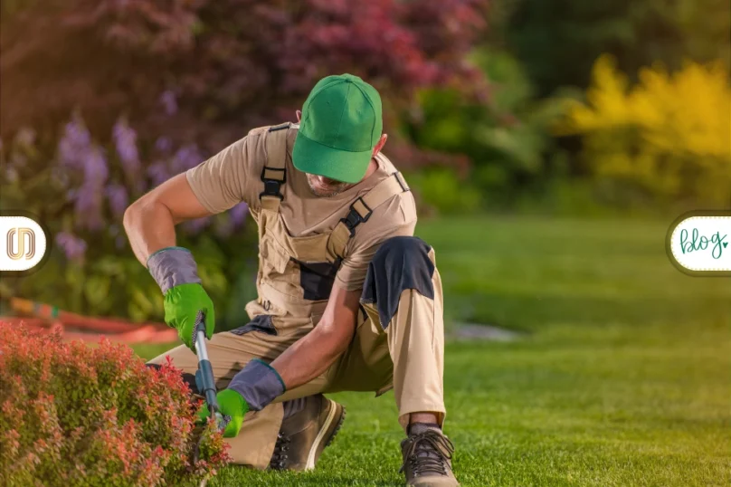 profesyonel bahçıvan hizmeti